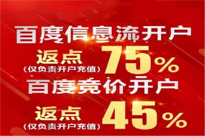竞价广告的创意与执行：经典案例剖析